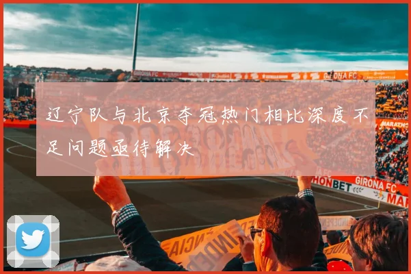 辽宁队与北京夺冠热门相比深度不足问题亟待解决