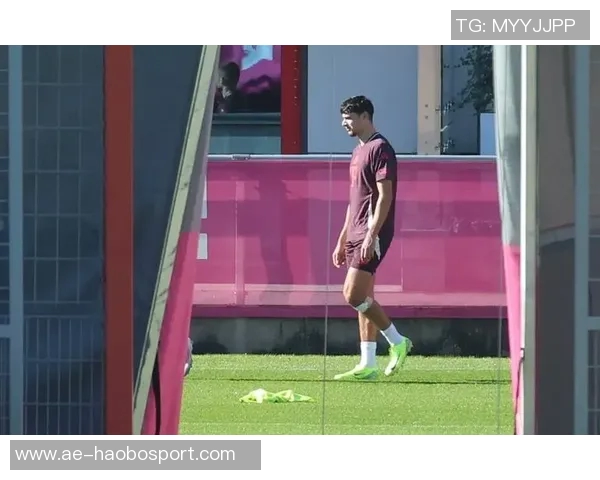 帕夫洛维奇恢复训练无大碍将随队出战拜仁对斯图加特的关键比赛